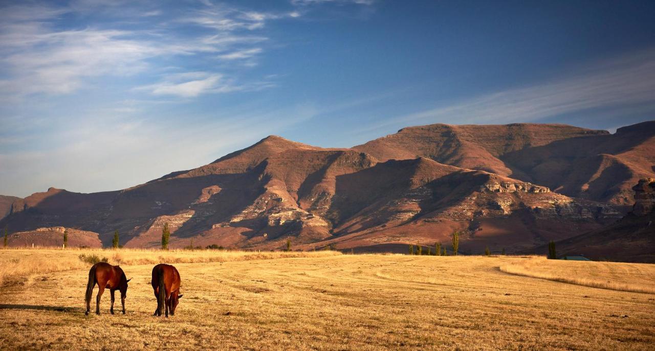 Apartamento Dynasty Red Mountain Ranch Clarens Exterior foto